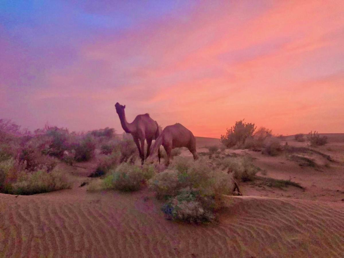 Hotel Desert Bloom Джайсалмер Экстерьер фото